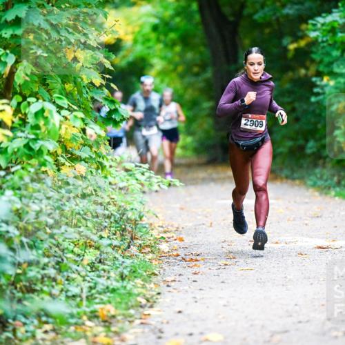 12.10.2025 - Bramfelder Halbmarathon 2025 Dr. Thomas Lammeyer http://msf.ph/oto/9344938 12.10.2025 10:13:23 Laufen 2909 meine-sportfotos.de