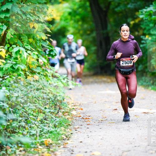 12.10.2025 - Bramfelder Halbmarathon 2025 Dr. Thomas Lammeyer http://msf.ph/oto/9344942 12.10.2025 10:13:23 Laufen 2909 meine-sportfotos.de