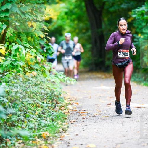 12.10.2025 - Bramfelder Halbmarathon 2025 Dr. Thomas Lammeyer http://msf.ph/oto/9344943 12.10.2025 10:13:23 Laufen 2909 meine-sportfotos.de
