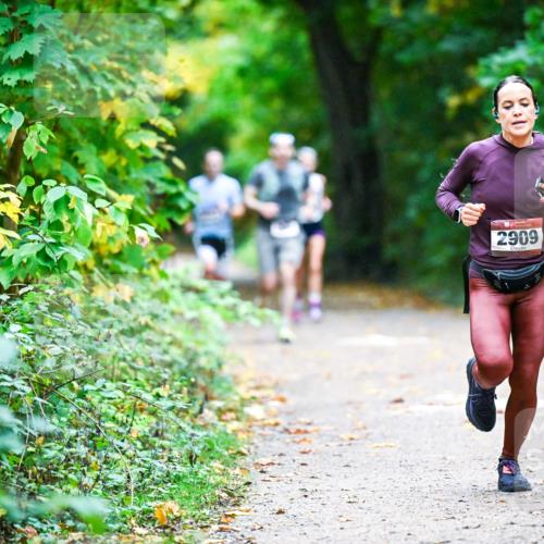 12.10.2025 - Bramfelder Halbmarathon 2025 Dr. Thomas Lammeyer http://msf.ph/oto/9344950 12.10.2025 10:13:24 Laufen 2909 meine-sportfotos.de
