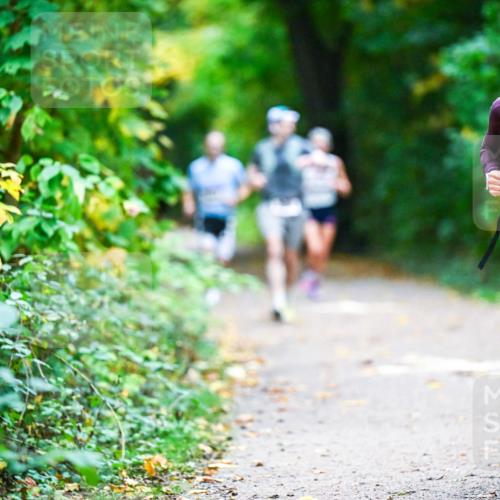 12.10.2025 - Bramfelder Halbmarathon 2025 Dr. Thomas Lammeyer http://msf.ph/oto/9344957 12.10.2025 10:13:25 Laufen 2909 meine-sportfotos.de