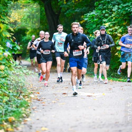 12.10.2025 - Bramfelder Halbmarathon 2025 Dr. Thomas Lammeyer http://msf.ph/oto/9345289 12.10.2025 10:15:03 Laufen 2005, 2636, 2571, 2895, 28, 267, 0, 8 meine-sportfotos.de