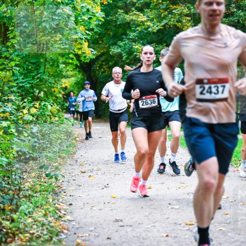 12.10.2025 - Bramfelder Halbmarathon 2025 Dr. Thomas Lammeyer http://msf.ph/oto/9345322 12.10.2025 10:15:10 Laufen 2939, 2636, 2437, 2676, 28 meine-sportfotos.de