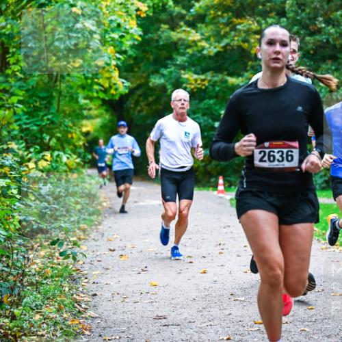 12.10.2025 - Bramfelder Halbmarathon 2025 Dr. Thomas Lammeyer http://msf.ph/oto/9345327 12.10.2025 10:15:11 Laufen 2699, 2636 meine-sportfotos.de