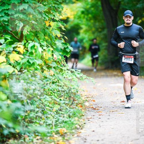 12.10.2025 - Bramfelder Halbmarathon 2025 Dr. Thomas Lammeyer http://msf.ph/oto/9345673 12.10.2025 10:17:04 Laufen 2903 meine-sportfotos.de