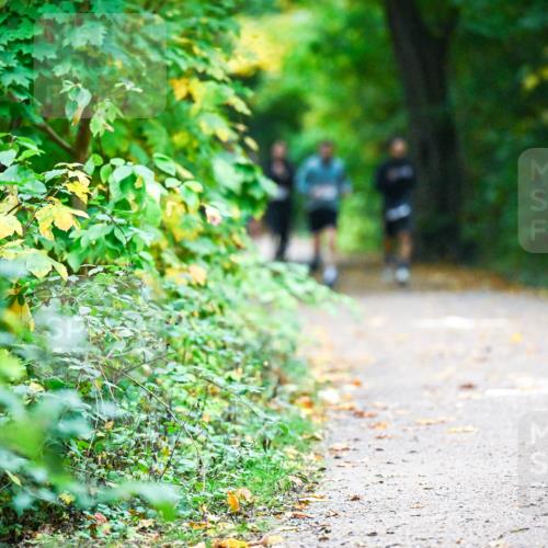 12.10.2025 - Bramfelder Halbmarathon 2025 Dr. Thomas Lammeyer http://msf.ph/oto/9345688 12.10.2025 10:17:06 Laufen 2903 meine-sportfotos.de