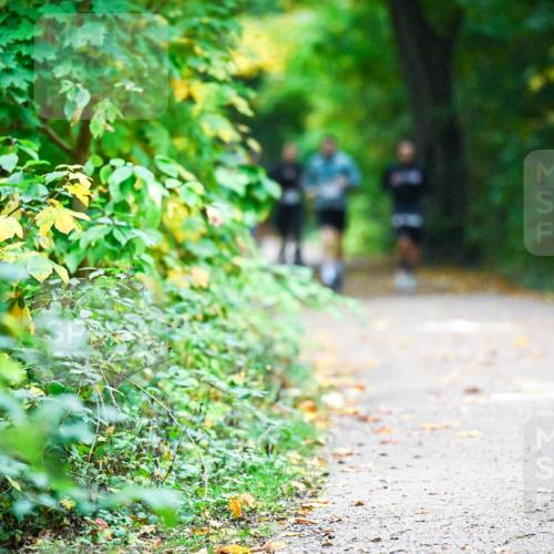 12.10.2025 - Bramfelder Halbmarathon 2025 Dr. Thomas Lammeyer http://msf.ph/oto/9345690 12.10.2025 10:17:06 Laufen 25 meine-sportfotos.de