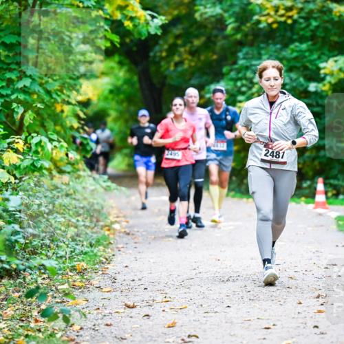 12.10.2025 - Bramfelder Halbmarathon 2025 Dr. Thomas Lammeyer http://msf.ph/oto/9345825 12.10.2025 10:17:40 Laufen 2481, 2495 meine-sportfotos.de