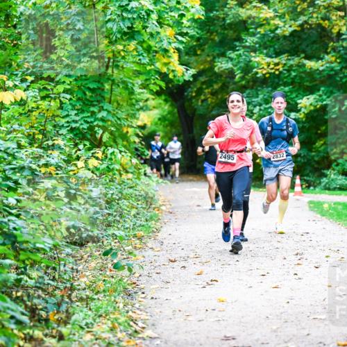 12.10.2025 - Bramfelder Halbmarathon 2025 Dr. Thomas Lammeyer http://msf.ph/oto/9345839 12.10.2025 10:17:43 Laufen 2495, 2832 meine-sportfotos.de