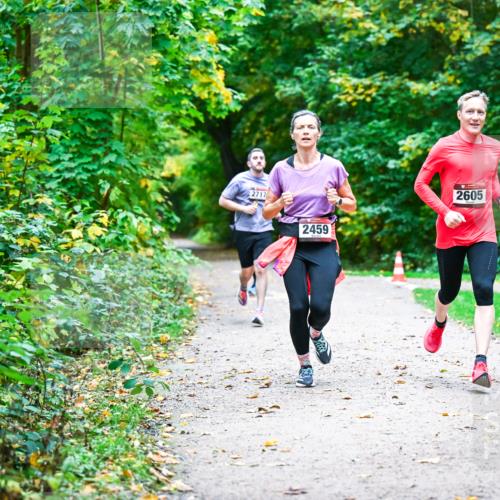 12.10.2025 - Bramfelder Halbmarathon 2025 Dr. Thomas Lammeyer http://msf.ph/oto/9345960 12.10.2025 10:18:03 Laufen 2717, 2459, 2605 meine-sportfotos.de
