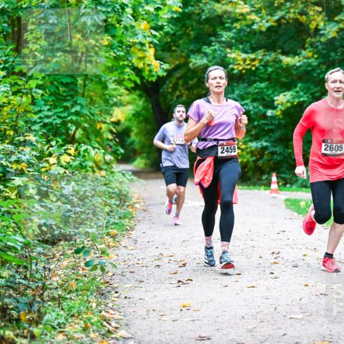 12.10.2025 - Bramfelder Halbmarathon 2025 Dr. Thomas Lammeyer http://msf.ph/oto/9345961 12.10.2025 10:18:03 Laufen 271, 2459, 2605 meine-sportfotos.de