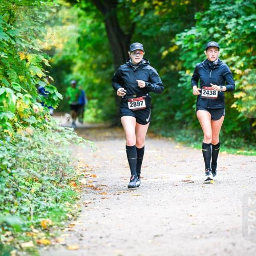 12.10.2025 - Bramfelder Halbmarathon 2025 Dr. Thomas Lammeyer http://msf.ph/oto/9346092 12.10.2025 10:18:44 Laufen 2897, 2438 meine-sportfotos.de