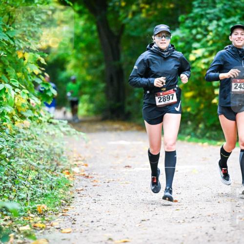 12.10.2025 - Bramfelder Halbmarathon 2025 Dr. Thomas Lammeyer http://msf.ph/oto/9346105 12.10.2025 10:18:46 Laufen 2897, 2438 meine-sportfotos.de