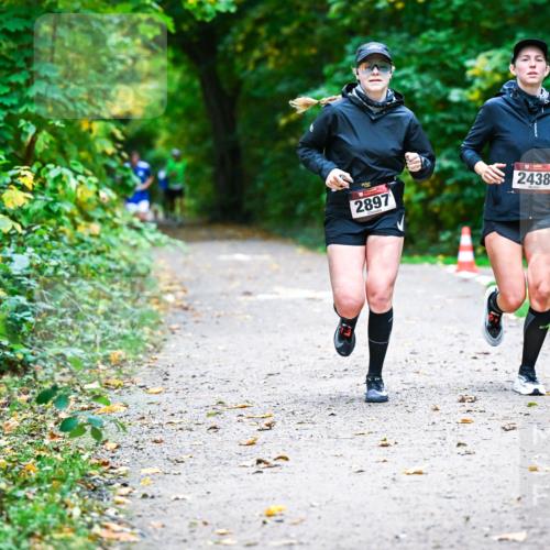 12.10.2025 - Bramfelder Halbmarathon 2025 Dr. Thomas Lammeyer http://msf.ph/oto/9346116 12.10.2025 10:18:47 Laufen 2897, 2438 meine-sportfotos.de