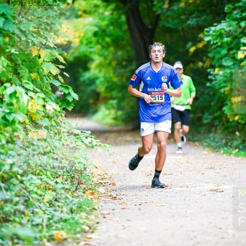 12.10.2025 - Bramfelder Halbmarathon 2025 Dr. Thomas Lammeyer http://msf.ph/oto/9346120 12.10.2025 10:18:54 Laufen 2515 meine-sportfotos.de