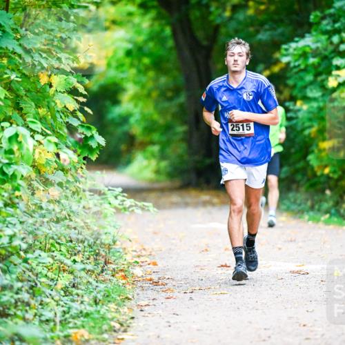 12.10.2025 - Bramfelder Halbmarathon 2025 Dr. Thomas Lammeyer http://msf.ph/oto/9346127 12.10.2025 10:18:55 Laufen 2515 meine-sportfotos.de