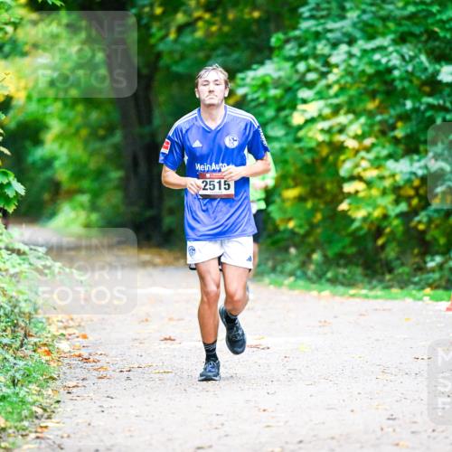 12.10.2025 - Bramfelder Halbmarathon 2025 Dr. Thomas Lammeyer http://msf.ph/oto/9346131 12.10.2025 10:18:56 Laufen 2515 meine-sportfotos.de