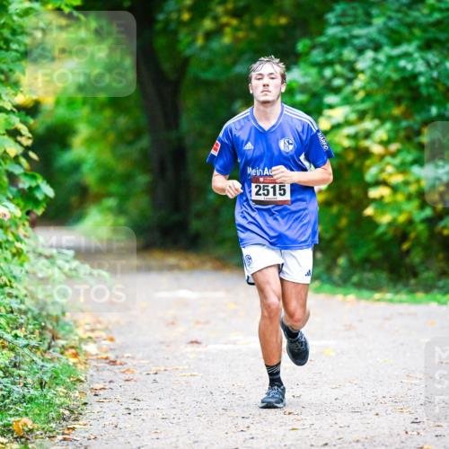 12.10.2025 - Bramfelder Halbmarathon 2025 Dr. Thomas Lammeyer http://msf.ph/oto/9346136 12.10.2025 10:18:57 Laufen 2515 meine-sportfotos.de