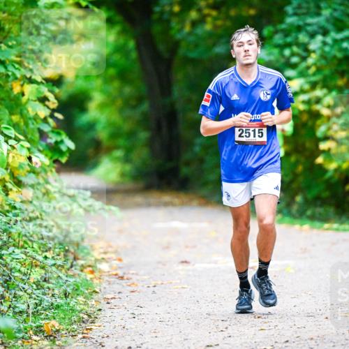 12.10.2025 - Bramfelder Halbmarathon 2025 Dr. Thomas Lammeyer http://msf.ph/oto/9346137 12.10.2025 10:18:57 Laufen 2515 meine-sportfotos.de