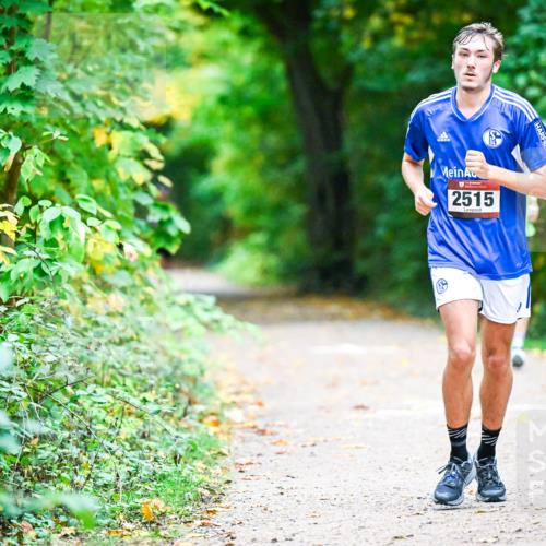 12.10.2025 - Bramfelder Halbmarathon 2025 Dr. Thomas Lammeyer http://msf.ph/oto/9346138 12.10.2025 10:18:57 Laufen 2515 meine-sportfotos.de