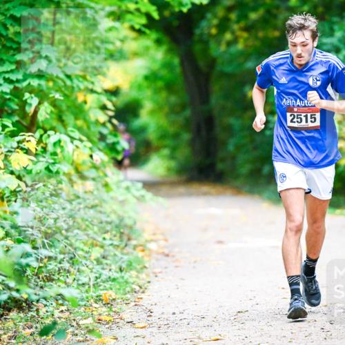 12.10.2025 - Bramfelder Halbmarathon 2025 Dr. Thomas Lammeyer http://msf.ph/oto/9346144 12.10.2025 10:18:58 Laufen 2515 meine-sportfotos.de