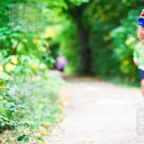12.10.2025 - Bramfelder Halbmarathon 2025 Dr. Thomas Lammeyer http://msf.ph/oto/9346157 12.10.2025 10:19:00 Laufen 251 meine-sportfotos.de