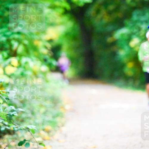 12.10.2025 - Bramfelder Halbmarathon 2025 Dr. Thomas Lammeyer http://msf.ph/oto/9346158 12.10.2025 10:19:00 Laufen  meine-sportfotos.de