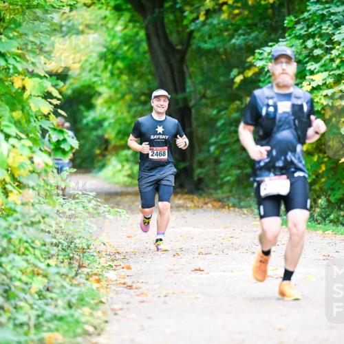 12.10.2025 - Bramfelder Halbmarathon 2025 Dr. Thomas Lammeyer http://msf.ph/oto/9346219 12.10.2025 10:19:17 Laufen  meine-sportfotos.de