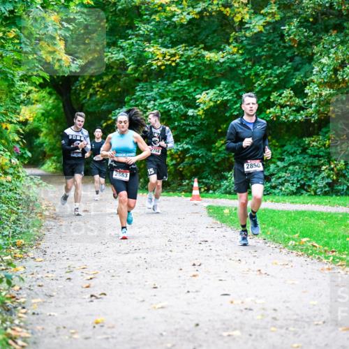 12.10.2025 - Bramfelder Halbmarathon 2025 Dr. Thomas Lammeyer http://msf.ph/oto/9346493 12.10.2025 10:20:26 Laufen  meine-sportfotos.de