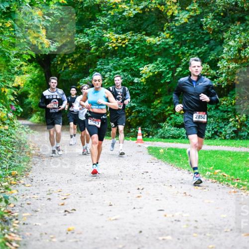 12.10.2025 - Bramfelder Halbmarathon 2025 Dr. Thomas Lammeyer http://msf.ph/oto/9346497 12.10.2025 10:20:27 Laufen 2850 meine-sportfotos.de