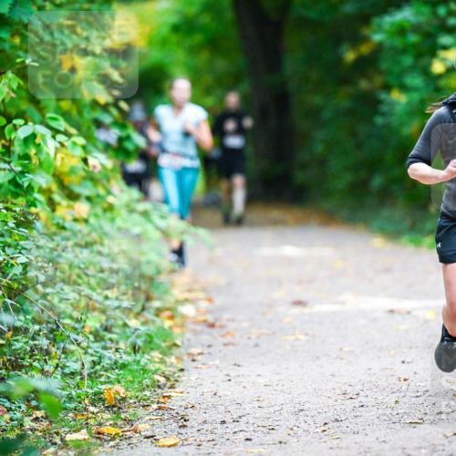 12.10.2025 - Bramfelder Halbmarathon 2025 Dr. Thomas Lammeyer http://msf.ph/oto/9346578 12.10.2025 10:20:45 Laufen 2425, 27 meine-sportfotos.de