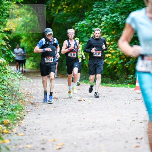 12.10.2025 - Bramfelder Halbmarathon 2025 Dr. Thomas Lammeyer http://msf.ph/oto/9346602 12.10.2025 10:20:53 Laufen 2535, 2936, 2445 meine-sportfotos.de