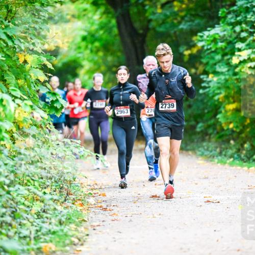 12.10.2025 - Bramfelder Halbmarathon 2025 Dr. Thomas Lammeyer http://msf.ph/oto/9346686 12.10.2025 10:21:14 Laufen 7, 2739, 2963, 270 meine-sportfotos.de