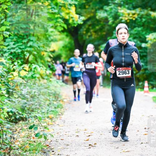 12.10.2025 - Bramfelder Halbmarathon 2025 Dr. Thomas Lammeyer http://msf.ph/oto/9346725 12.10.2025 10:21:21 Laufen 2795, 2963 meine-sportfotos.de