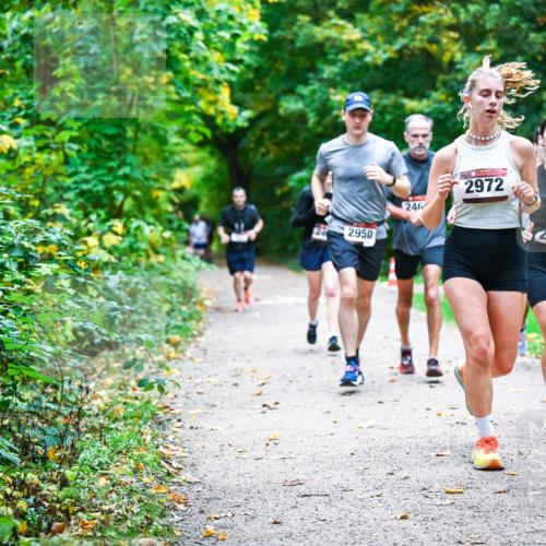 12.10.2025 - Bramfelder Halbmarathon 2025 Dr. Thomas Lammeyer http://msf.ph/oto/9346853 12.10.2025 10:21:45 Laufen 2972, 246, 2950, 2777 meine-sportfotos.de