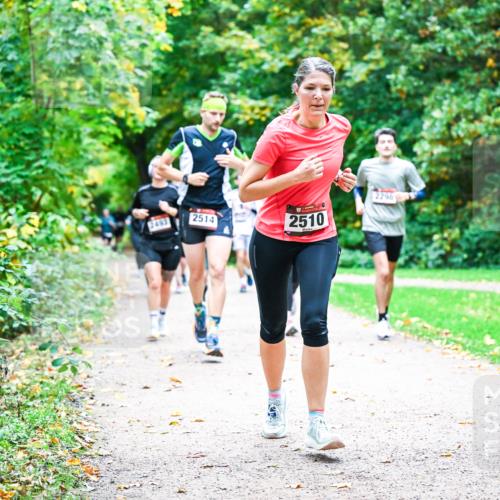 12.10.2025 - Bramfelder Halbmarathon 2025 Dr. Thomas Lammeyer http://msf.ph/oto/9347969 12.10.2025 10:25:36 Laufen 2296, 2493, 2514, 2510 meine-sportfotos.de