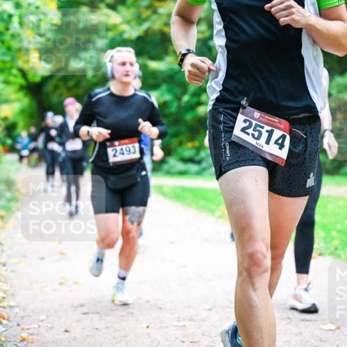 12.10.2025 - Bramfelder Halbmarathon 2025 Dr. Thomas Lammeyer http://msf.ph/oto/9347982 12.10.2025 10:25:39 Laufen 2493, 34, 2514 meine-sportfotos.de