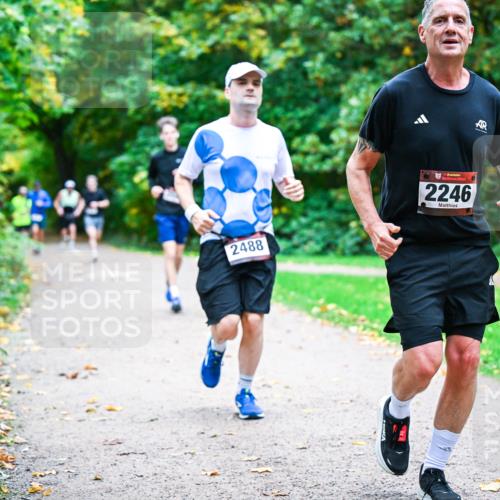 12.10.2025 - Bramfelder Halbmarathon 2025 Dr. Thomas Lammeyer http://msf.ph/oto/9348198 12.10.2025 10:26:26 Laufen 2488, 34, 2246 meine-sportfotos.de