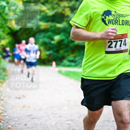 12.10.2025 - Bramfelder Halbmarathon 2025 Dr. Thomas Lammeyer http://msf.ph/oto/9348271 12.10.2025 10:26:39 Laufen 2774, 2344 meine-sportfotos.de