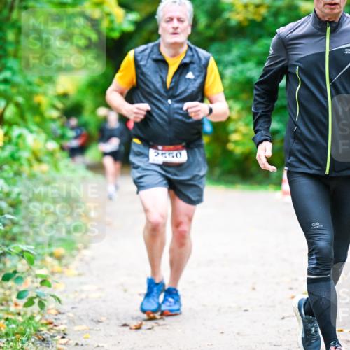12.10.2025 - Bramfelder Halbmarathon 2025 Dr. Thomas Lammeyer http://msf.ph/oto/9348603 12.10.2025 10:27:54 Laufen 2650 meine-sportfotos.de