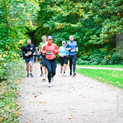12.10.2025 - Bramfelder Halbmarathon 2025 Dr. Thomas Lammeyer http://msf.ph/oto/9348722 12.10.2025 10:28:19 Laufen 2239, 2983, 2394 meine-sportfotos.de