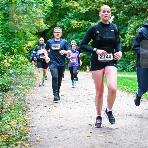 12.10.2025 - Bramfelder Halbmarathon 2025 Dr. Thomas Lammeyer http://msf.ph/oto/9348764 12.10.2025 10:28:30 Laufen 26, 2996, 2333, 2744, 2220 meine-sportfotos.de