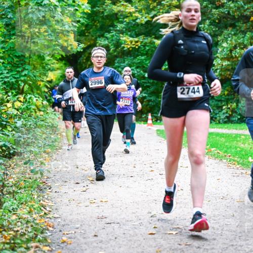 12.10.2025 - Bramfelder Halbmarathon 2025 Dr. Thomas Lammeyer http://msf.ph/oto/9348765 12.10.2025 10:28:30 Laufen 261, 2996, 2333, 2220, 2744 meine-sportfotos.de