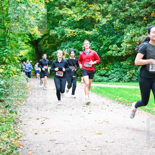 12.10.2025 - Bramfelder Halbmarathon 2025 Dr. Thomas Lammeyer http://msf.ph/oto/9348894 12.10.2025 10:28:56 Laufen 2211, 2800, 2365, 2799, 2340 meine-sportfotos.de