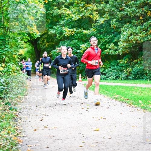 12.10.2025 - Bramfelder Halbmarathon 2025 Dr. Thomas Lammeyer http://msf.ph/oto/9348897 12.10.2025 10:28:57 Laufen 2211, 2800, 2340 meine-sportfotos.de
