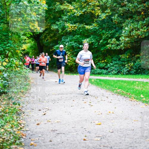 12.10.2025 - Bramfelder Halbmarathon 2025 Dr. Thomas Lammeyer http://msf.ph/oto/9349000 12.10.2025 10:29:18 Laufen 2194, 2204, 2968, 2301 meine-sportfotos.de