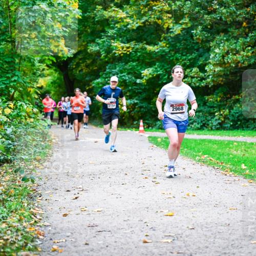 12.10.2025 - Bramfelder Halbmarathon 2025 Dr. Thomas Lammeyer http://msf.ph/oto/9349005 12.10.2025 10:29:19 Laufen 2194, 2968 meine-sportfotos.de