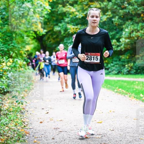 12.10.2025 - Bramfelder Halbmarathon 2025 Dr. Thomas Lammeyer http://msf.ph/oto/9349117 12.10.2025 10:29:41 Laufen 226, 2815 meine-sportfotos.de