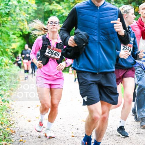 12.10.2025 - Bramfelder Halbmarathon 2025 Dr. Thomas Lammeyer http://msf.ph/oto/9349182 12.10.2025 10:29:53 Laufen 2645, 2283 meine-sportfotos.de