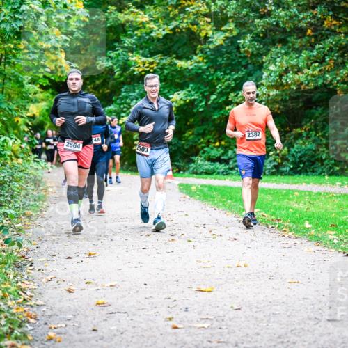 12.10.2025 - Bramfelder Halbmarathon 2025 Dr. Thomas Lammeyer http://msf.ph/oto/9349203 12.10.2025 10:29:57 Laufen 2564, 48, 2503, 2382 meine-sportfotos.de